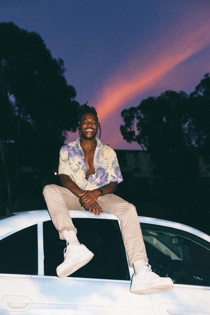 a picture of Molombo on top of a car with a sunset and purple toned dusk behind him